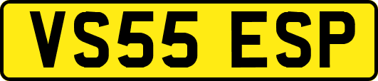 VS55ESP