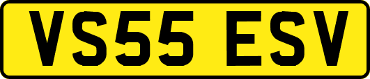 VS55ESV