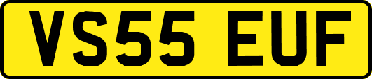 VS55EUF