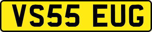 VS55EUG