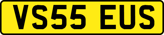 VS55EUS