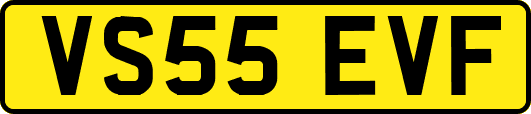 VS55EVF