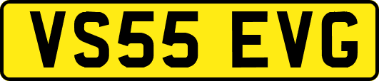 VS55EVG