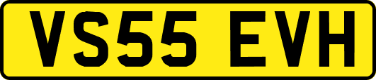 VS55EVH