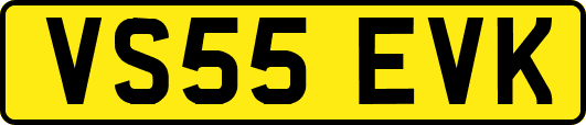 VS55EVK