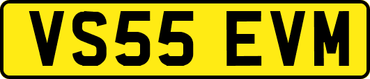 VS55EVM