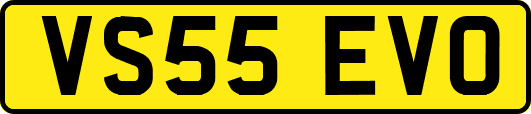 VS55EVO