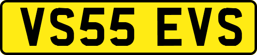 VS55EVS