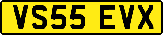 VS55EVX