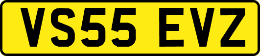 VS55EVZ