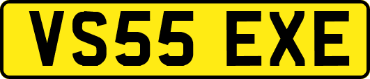 VS55EXE