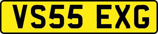 VS55EXG