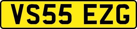 VS55EZG