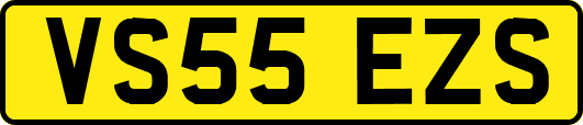 VS55EZS