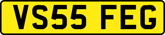 VS55FEG
