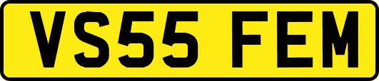 VS55FEM
