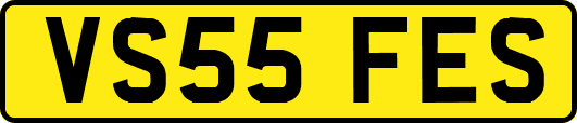 VS55FES