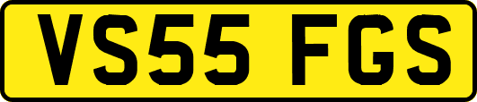 VS55FGS