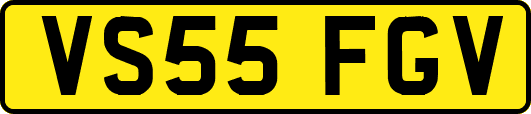 VS55FGV