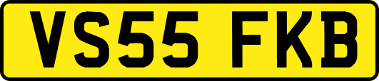 VS55FKB