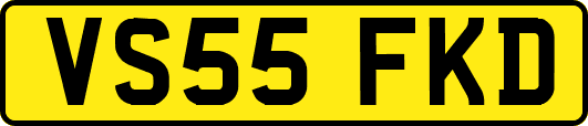 VS55FKD