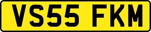 VS55FKM