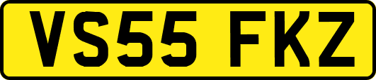 VS55FKZ