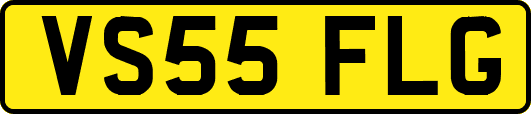 VS55FLG