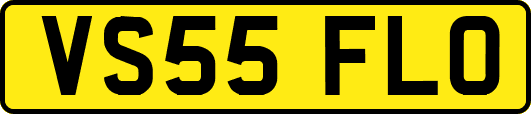 VS55FLO