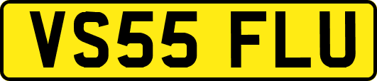 VS55FLU