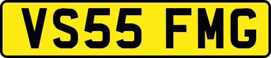 VS55FMG
