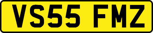 VS55FMZ
