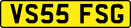 VS55FSG