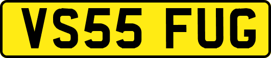 VS55FUG