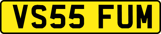 VS55FUM