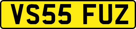 VS55FUZ