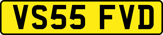 VS55FVD