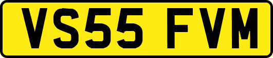VS55FVM