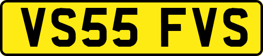 VS55FVS