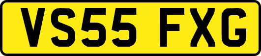 VS55FXG