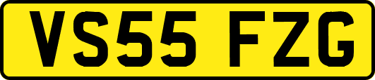 VS55FZG