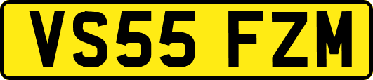 VS55FZM