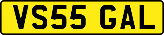 VS55GAL