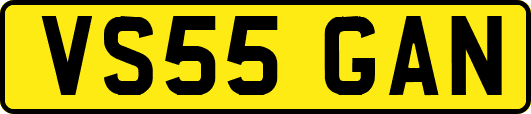 VS55GAN