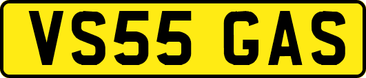 VS55GAS