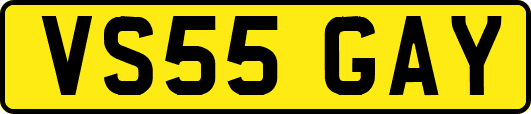 VS55GAY