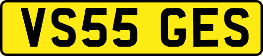 VS55GES