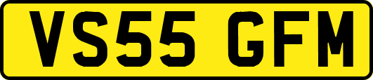 VS55GFM