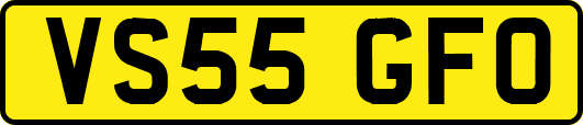 VS55GFO