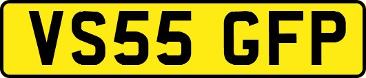 VS55GFP